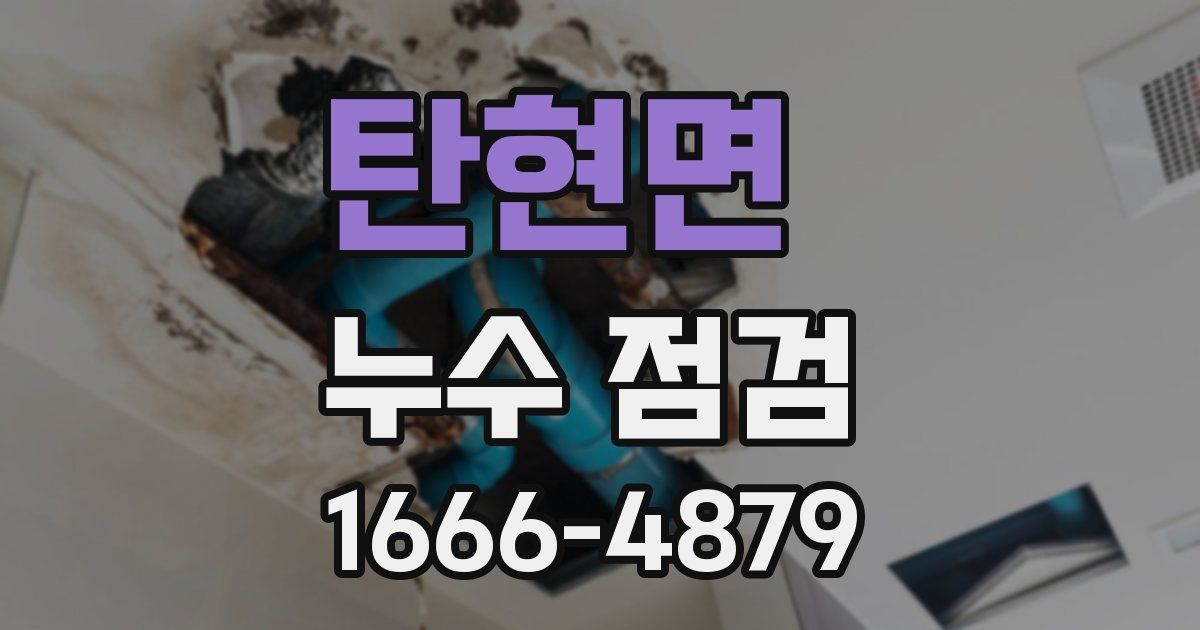 탄현면 누수 점검