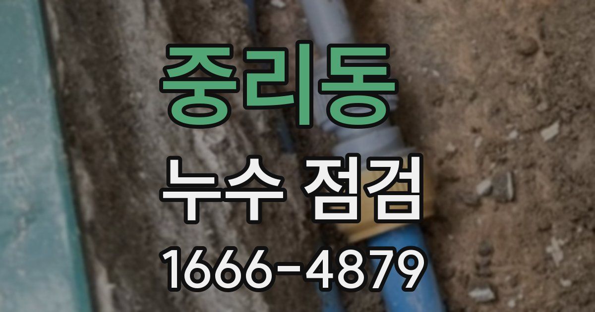 중리동 누수 점검