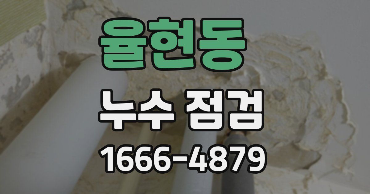 율현동 누수 점검