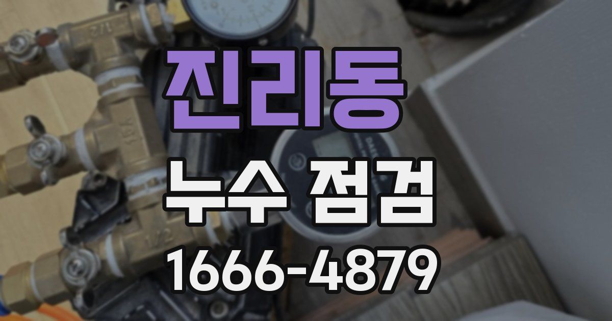 진리동 누수 점검