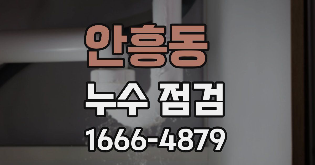 안흥동 누수 점검