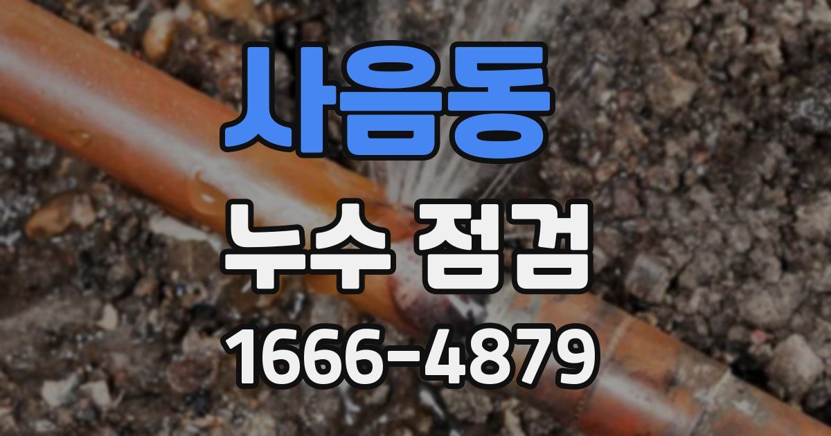 사음동 누수 점검