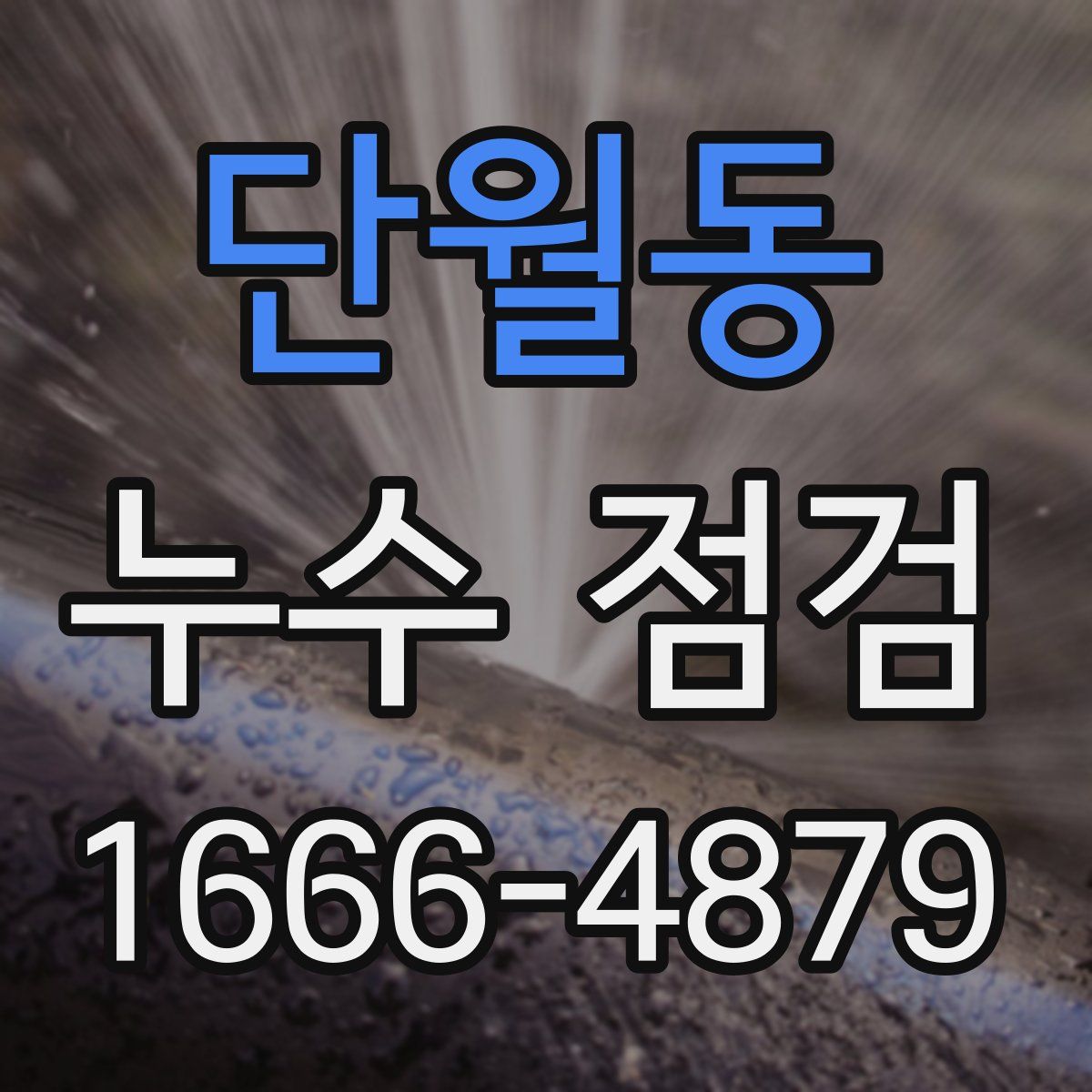 단월동 누수 점검