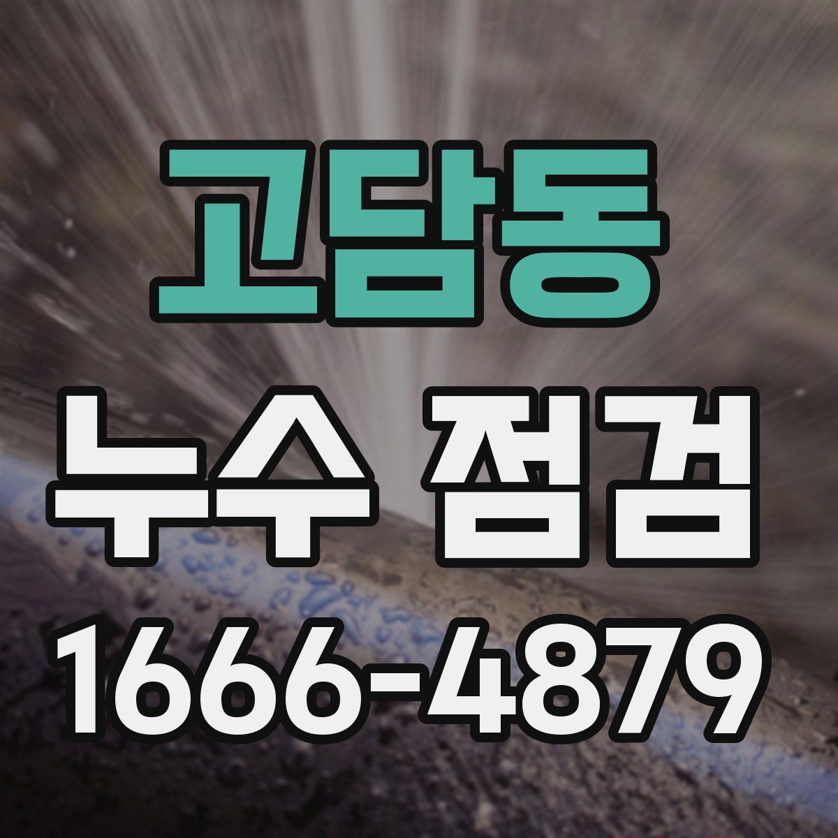 고담동 누수 점검