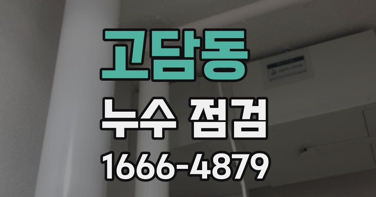 고담동 누수 점검