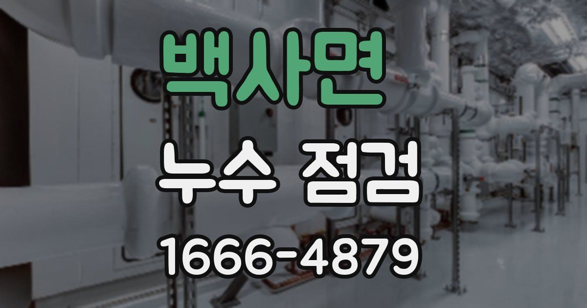 백사면 누수 점검