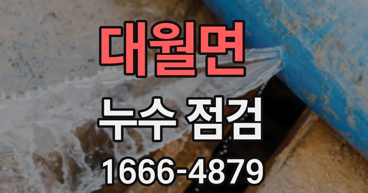 대월면 누수 점검