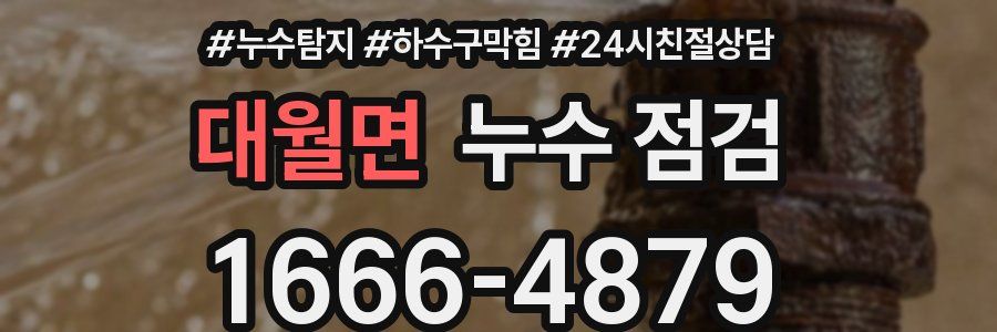 대월면 누수 점검