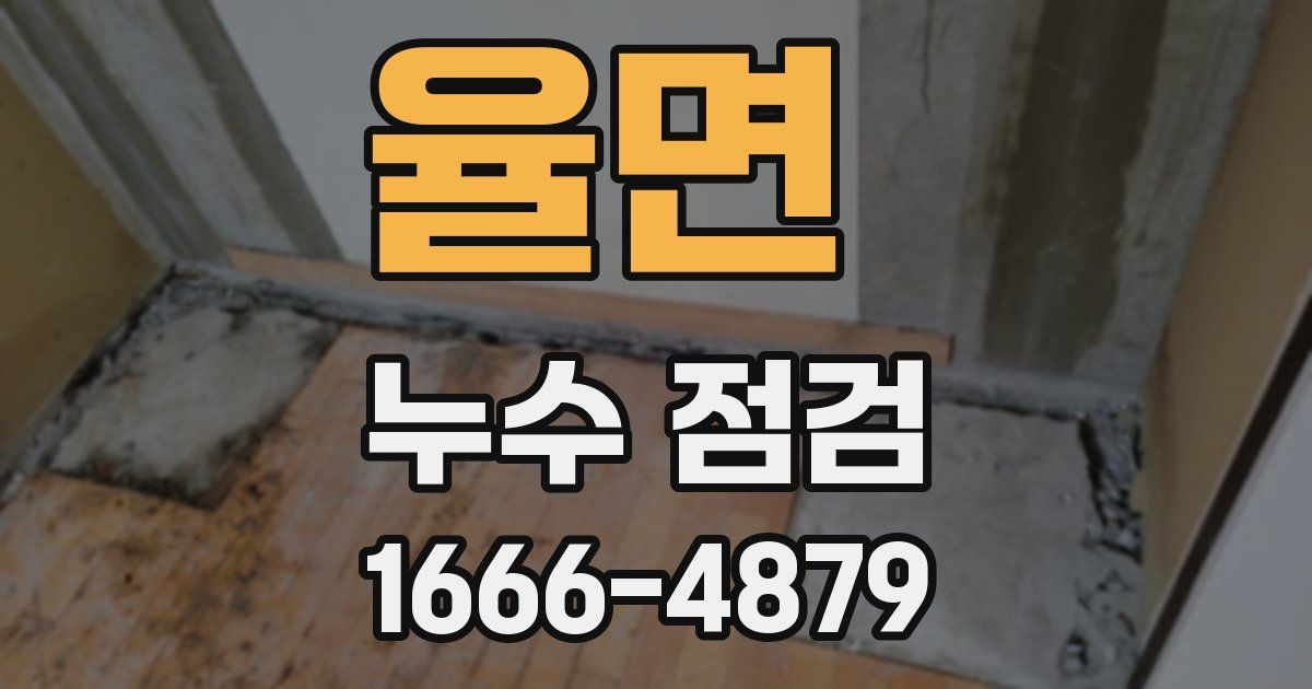 율면 누수 점검