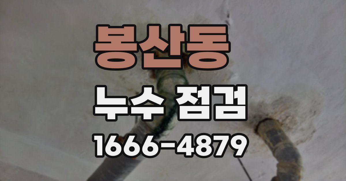 봉산동 누수 점검