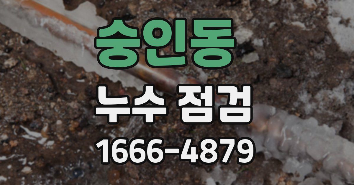 숭인동 누수 점검