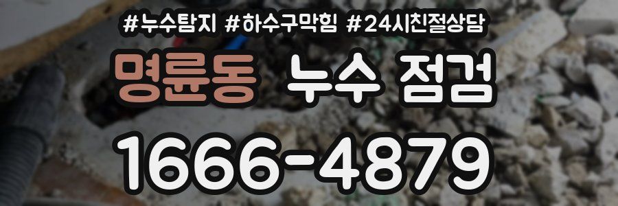 명륜동 누수 점검