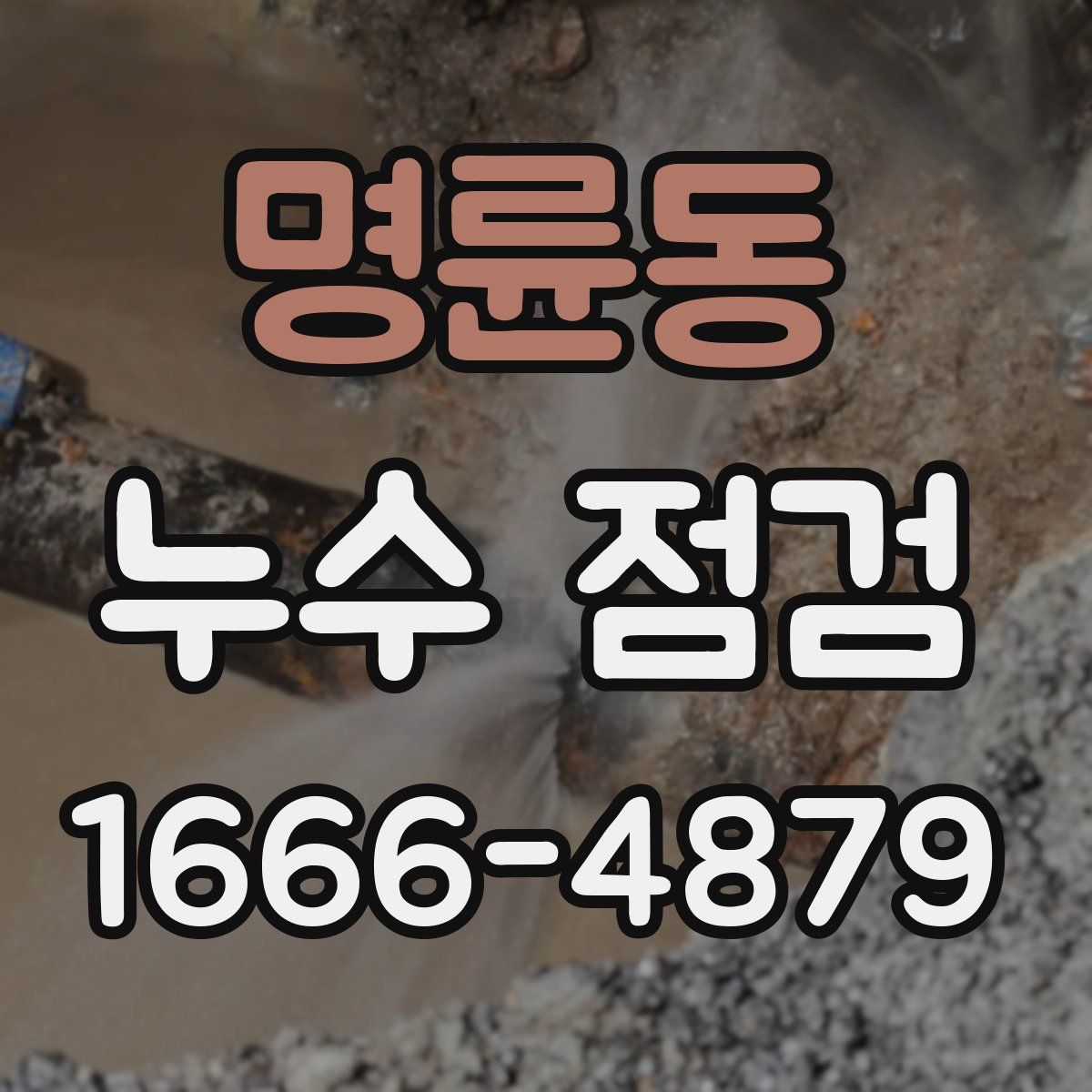 명륜동 누수 점검
