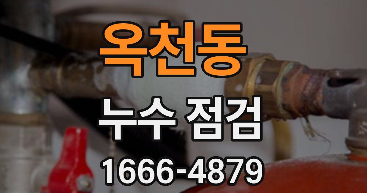 옥천동 누수 점검