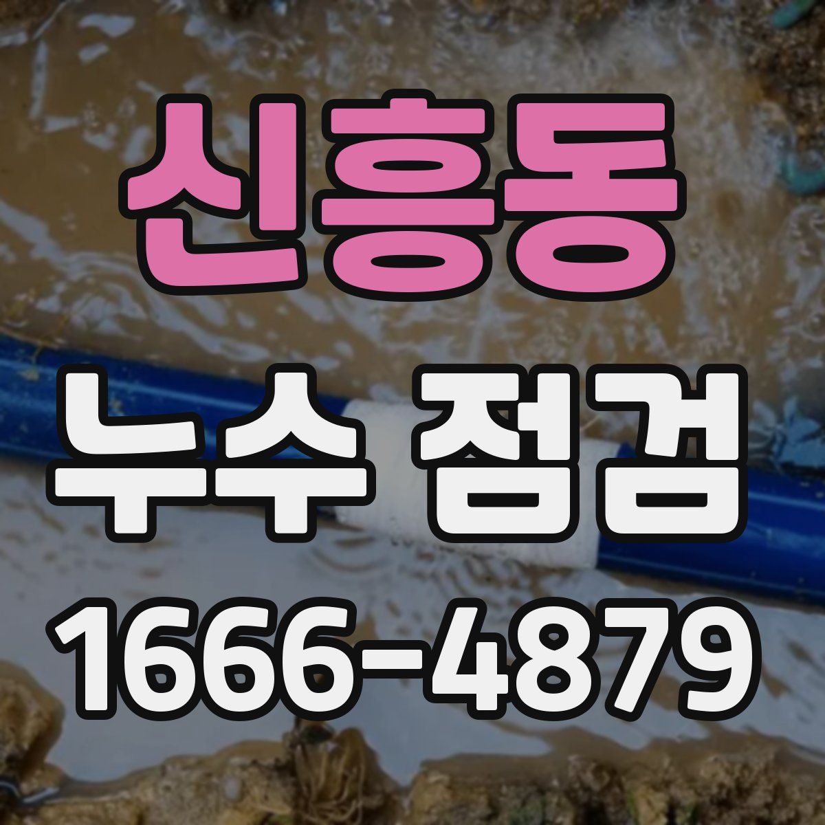 신흥동 누수 점검