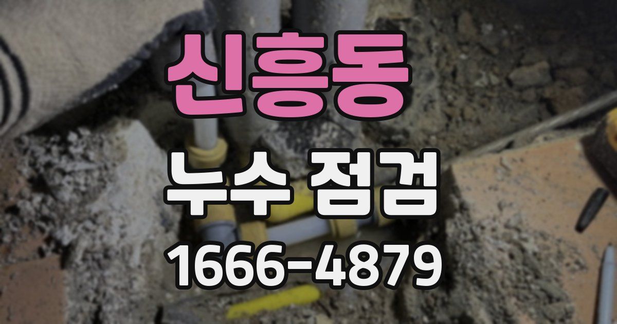 신흥동 누수 점검