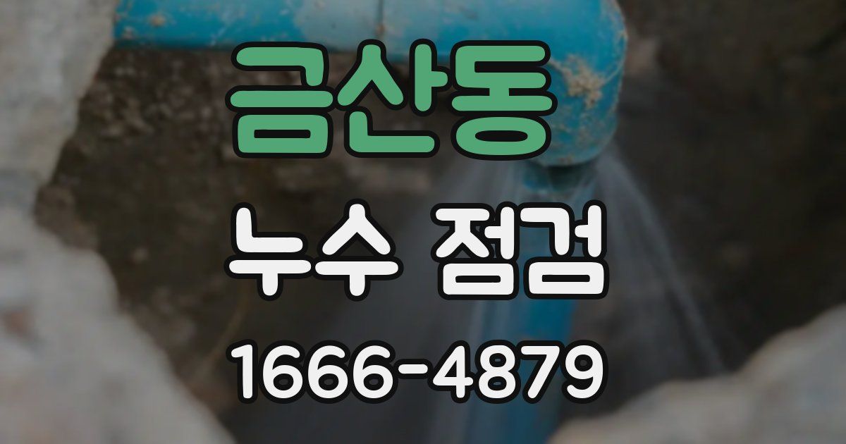 금산동 누수 점검