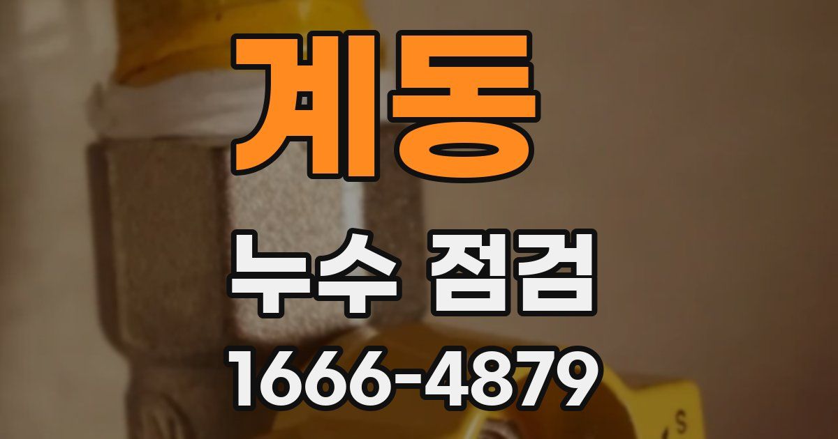 계동 누수 점검