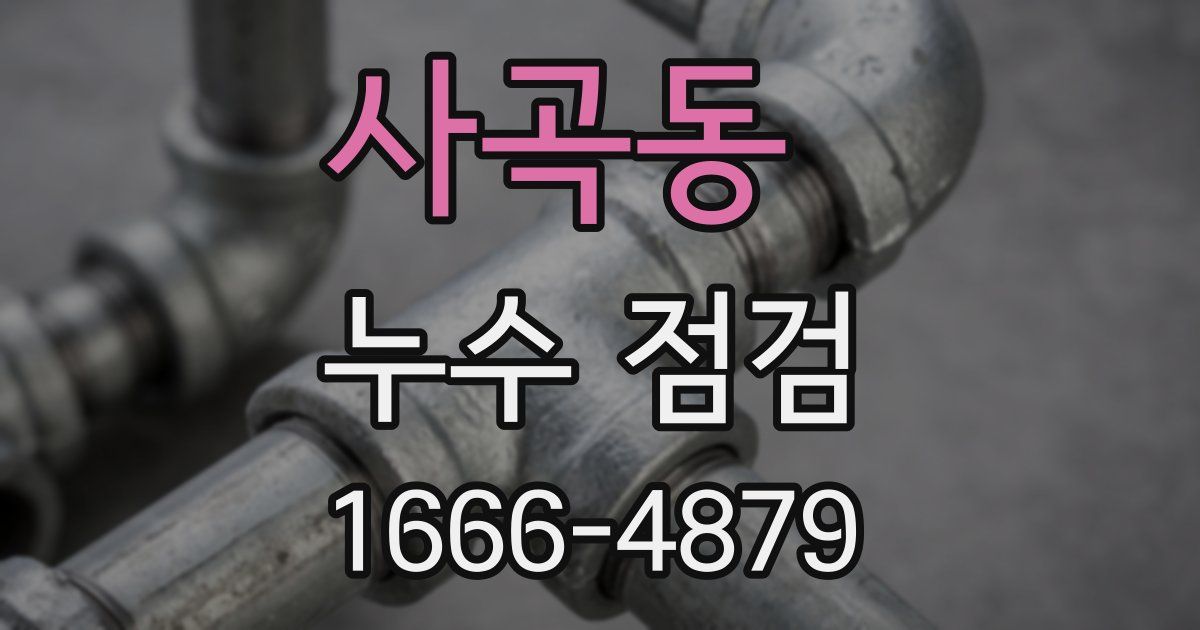 사곡동 누수 점검