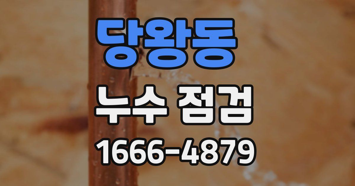 당왕동 누수 점검