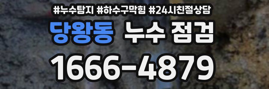 당왕동 누수 점검