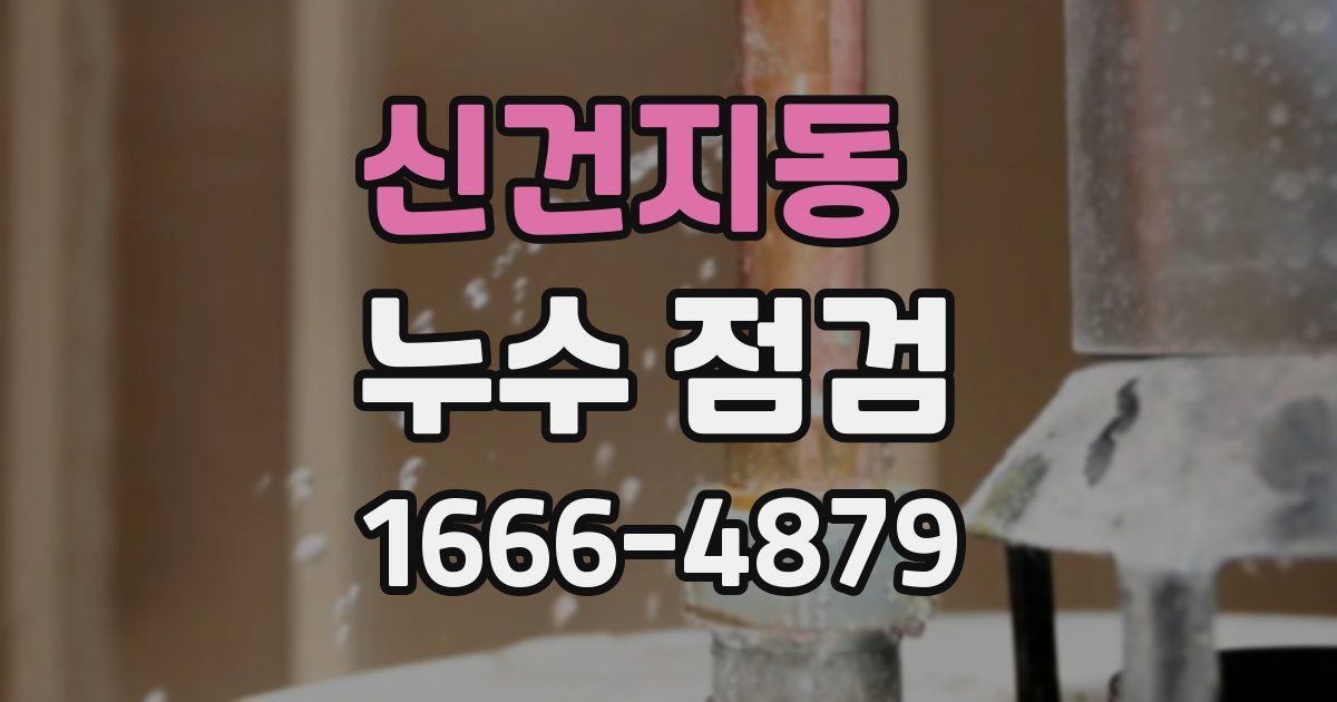 신건지동 누수 점검