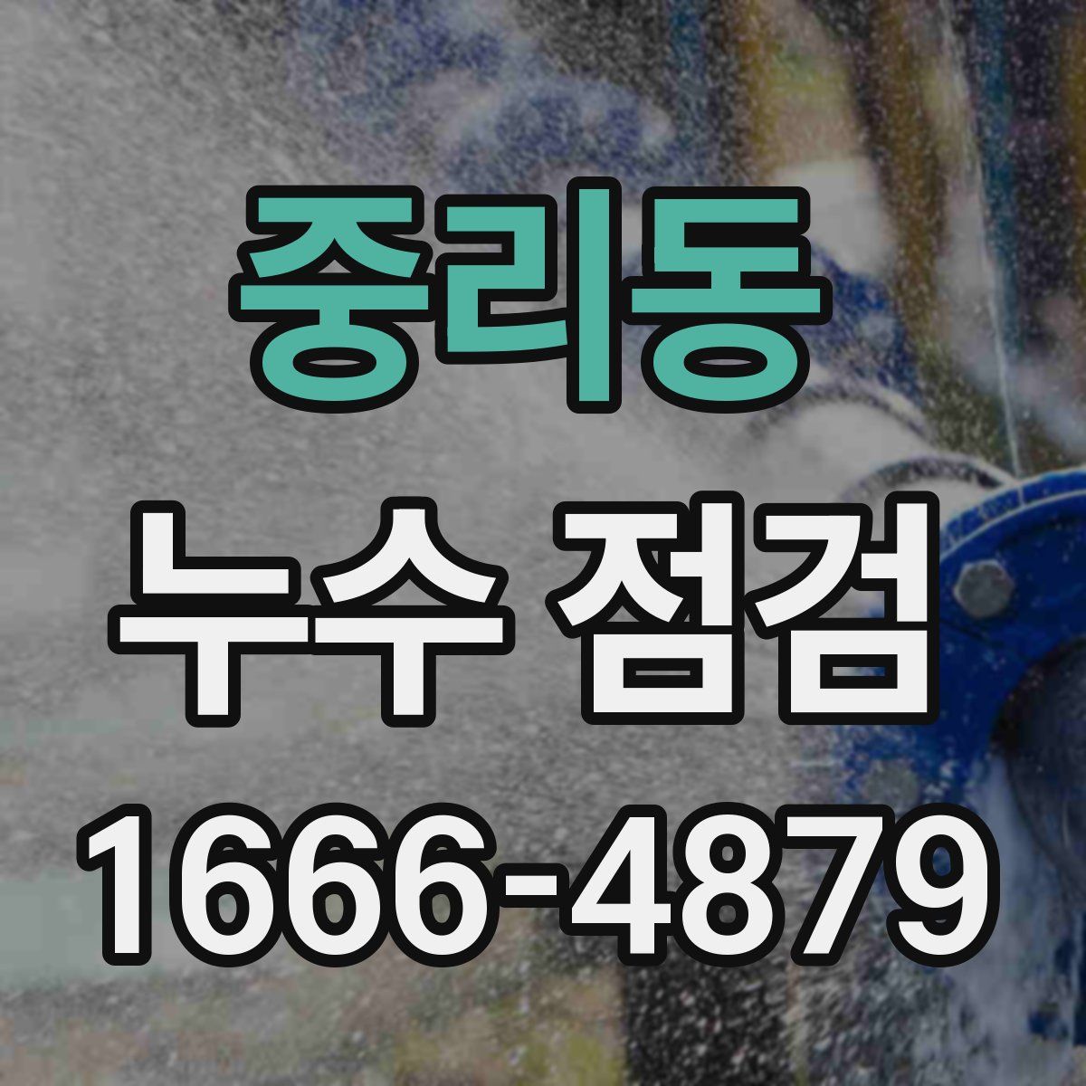 중리동 누수 점검