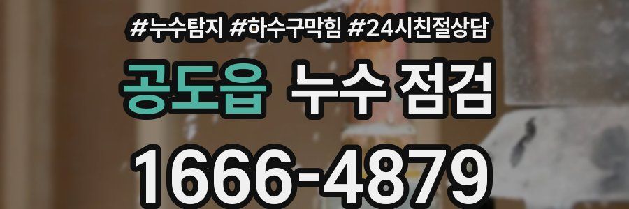 공도읍 누수 점검