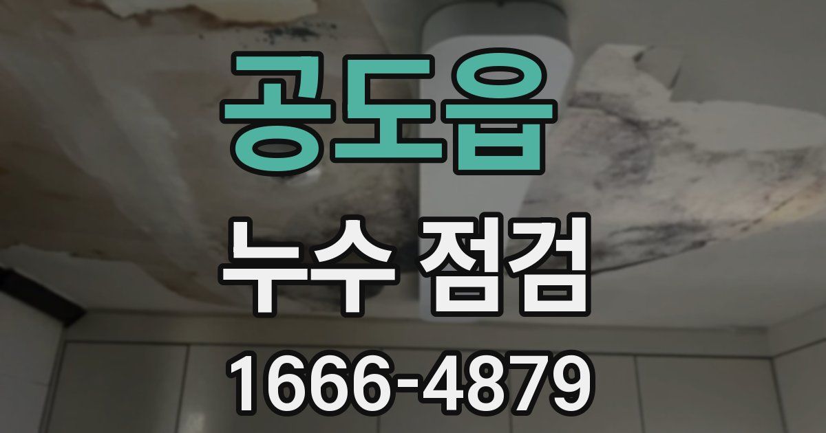 공도읍 누수 점검