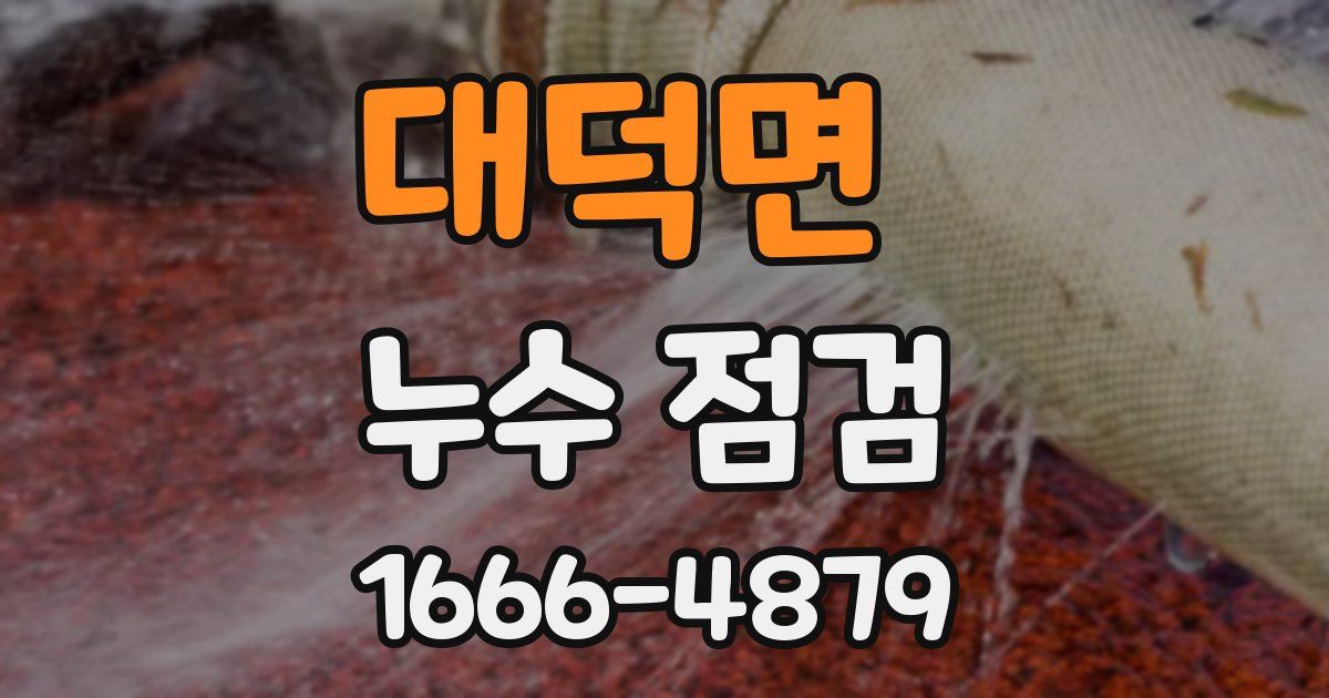 대덕면 누수 점검