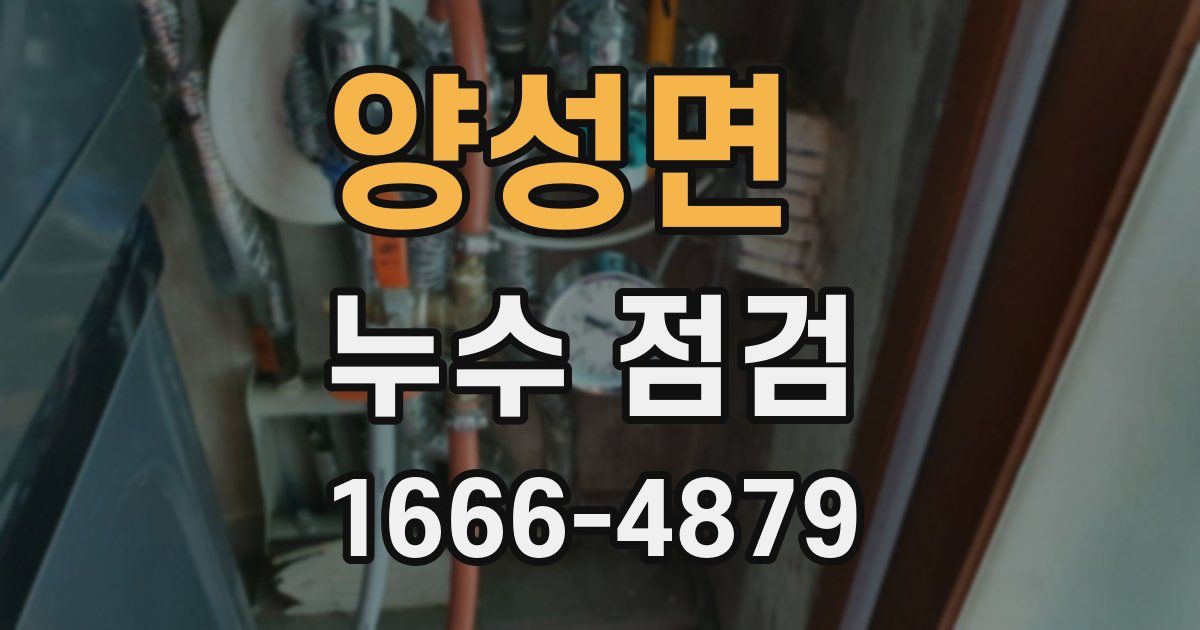 양성면 누수 점검
