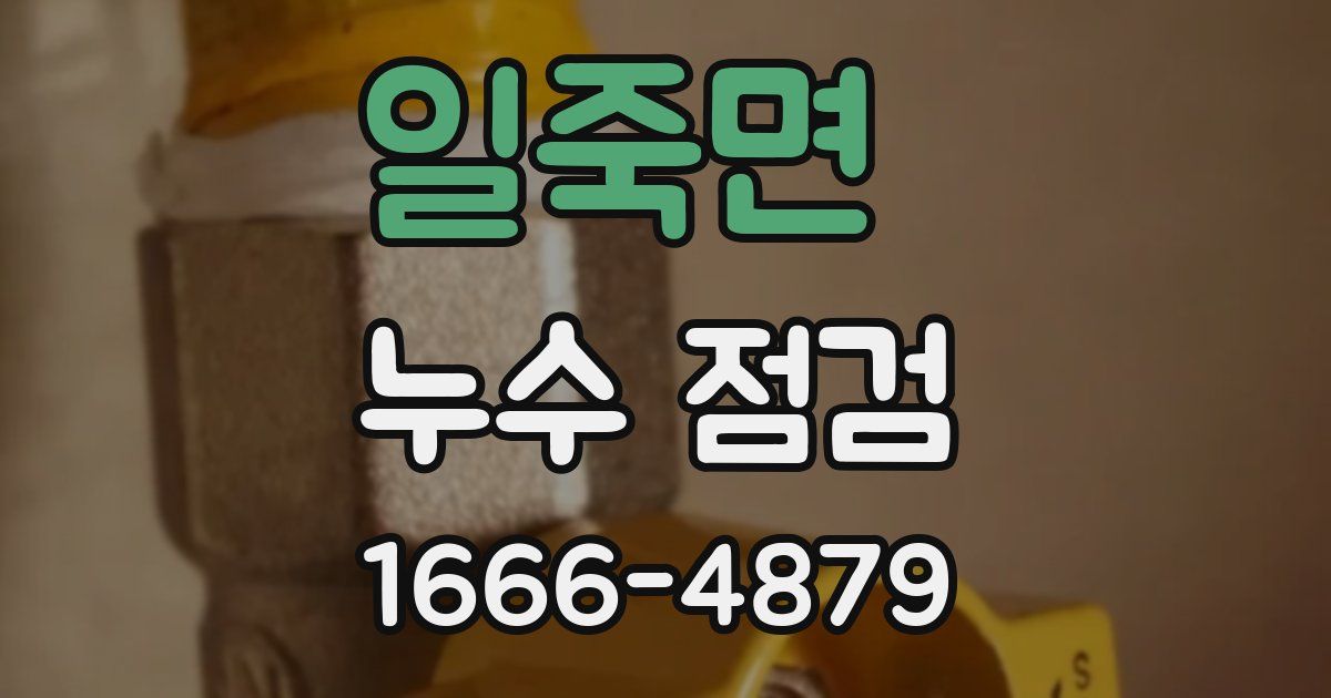 일죽면 누수 점검