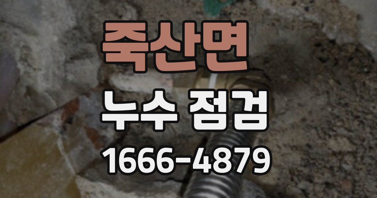 죽산면 누수 점검