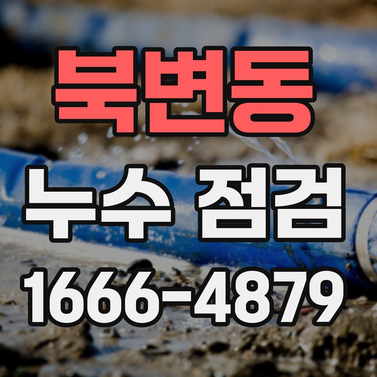 북변동 누수 점검