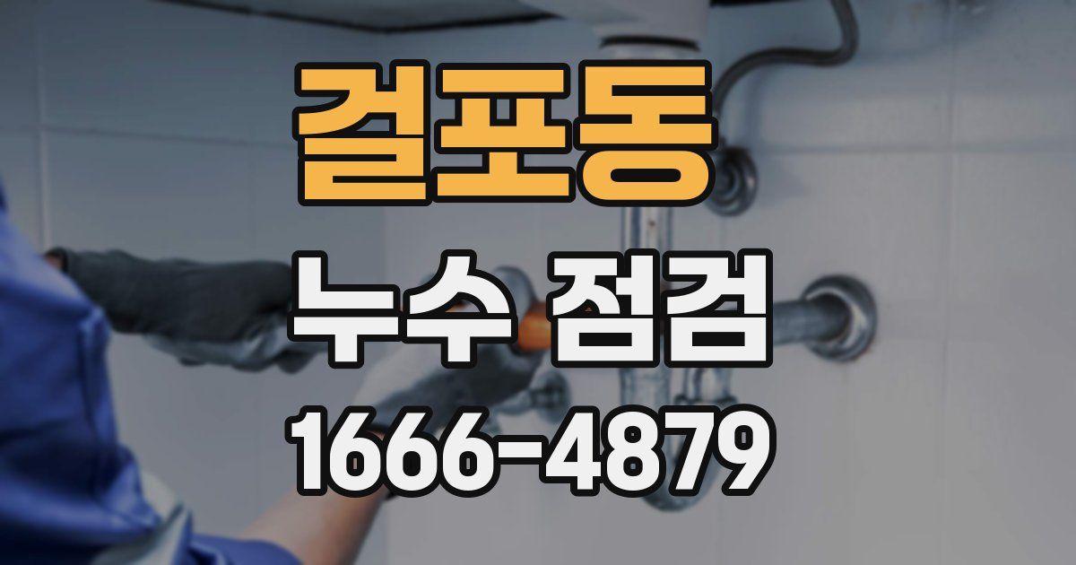 걸포동 누수 점검