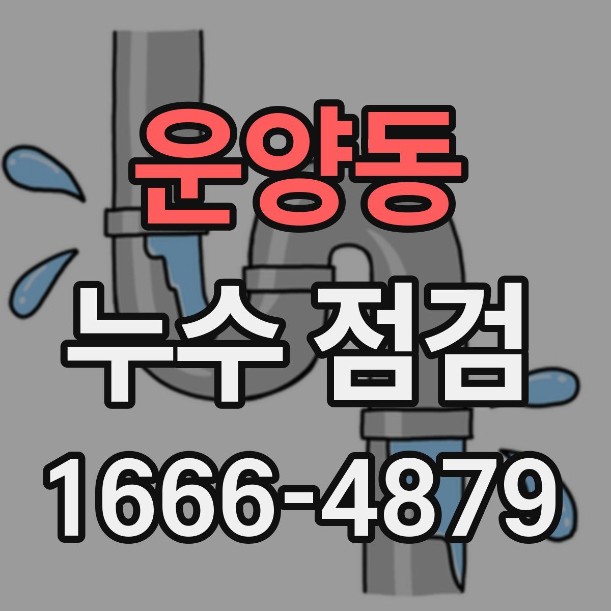 운양동 누수 점검
