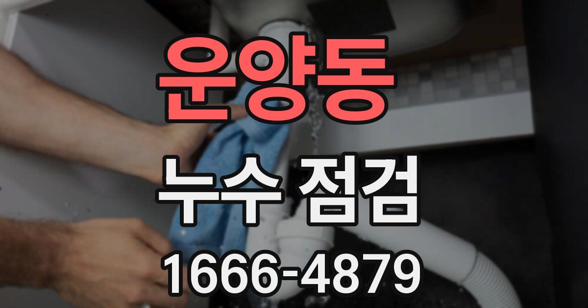운양동 누수 점검
