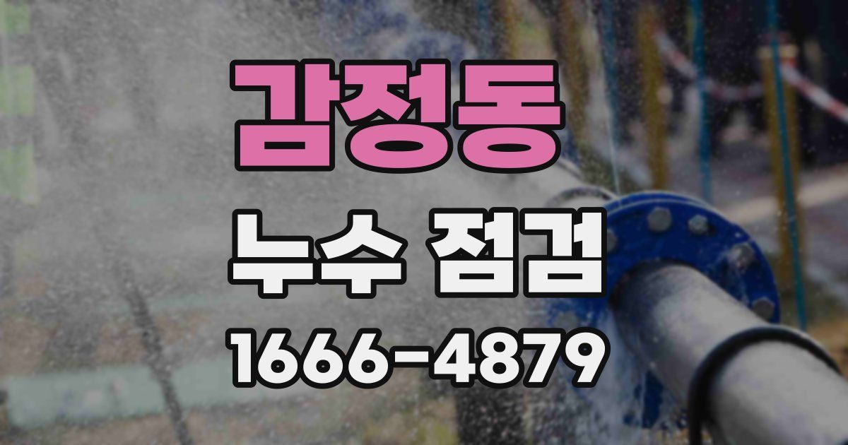 감정동 누수 점검