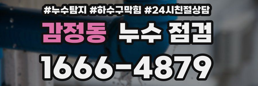 감정동 누수 점검