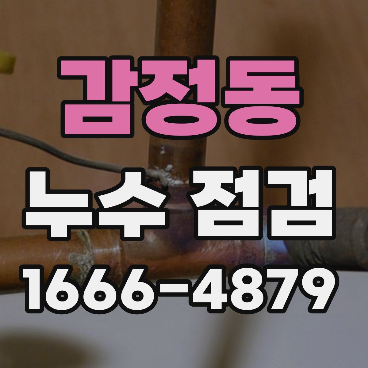 감정동 누수 점검