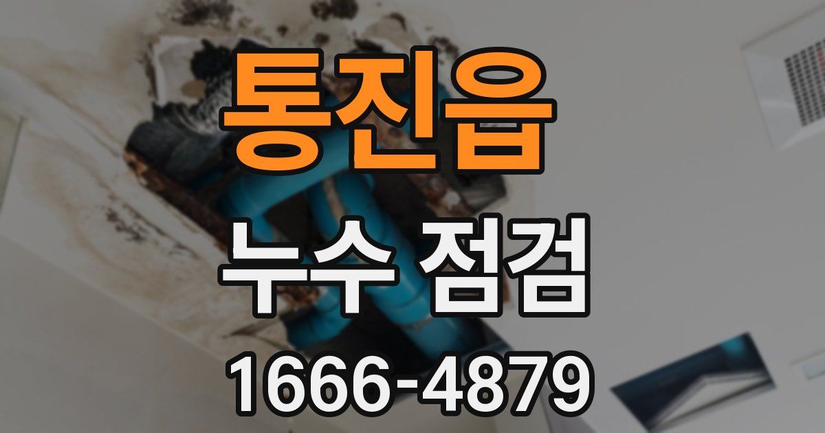 통진읍 누수 점검