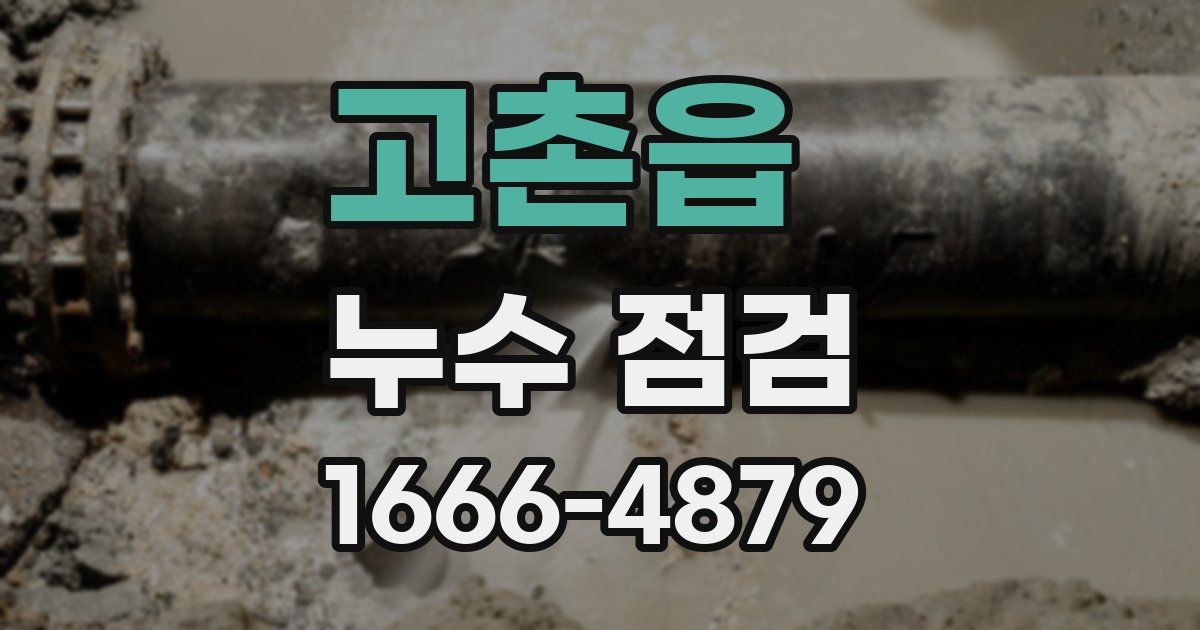 고촌읍 누수 점검