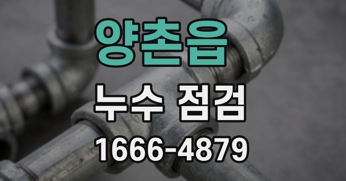 양촌읍 누수 점검