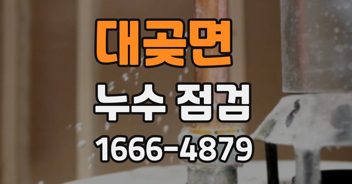 대곶면 누수 점검