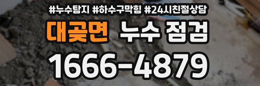 대곶면 누수 점검