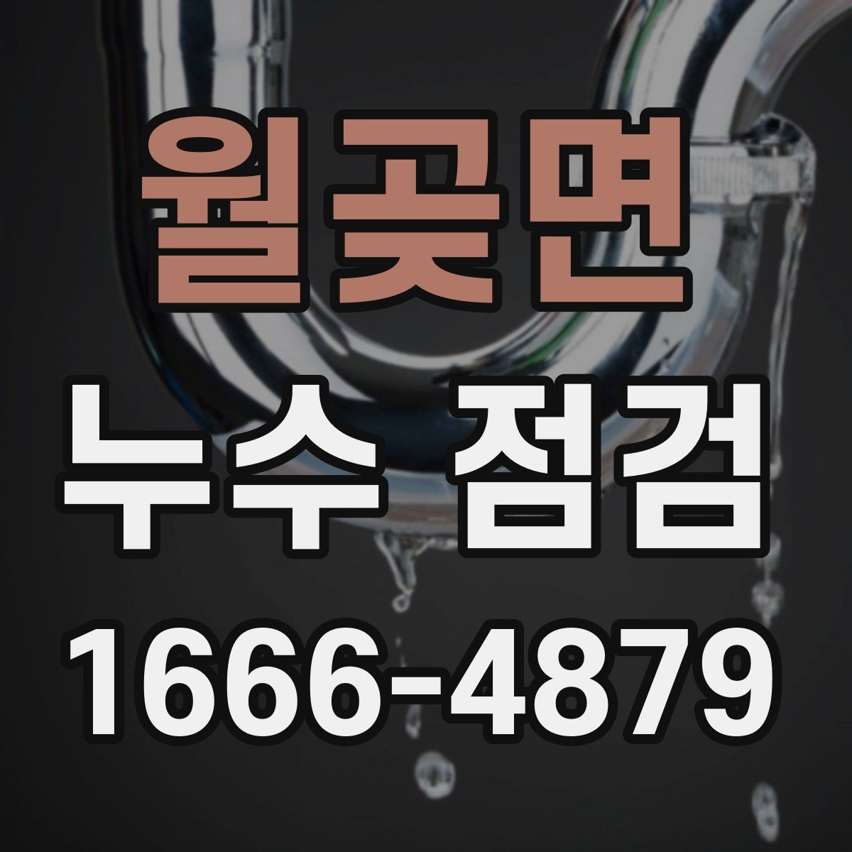 월곶면 누수 점검