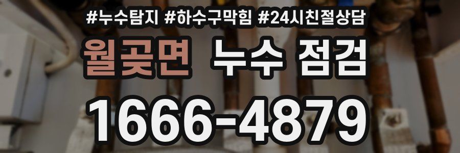 월곶면 누수 점검