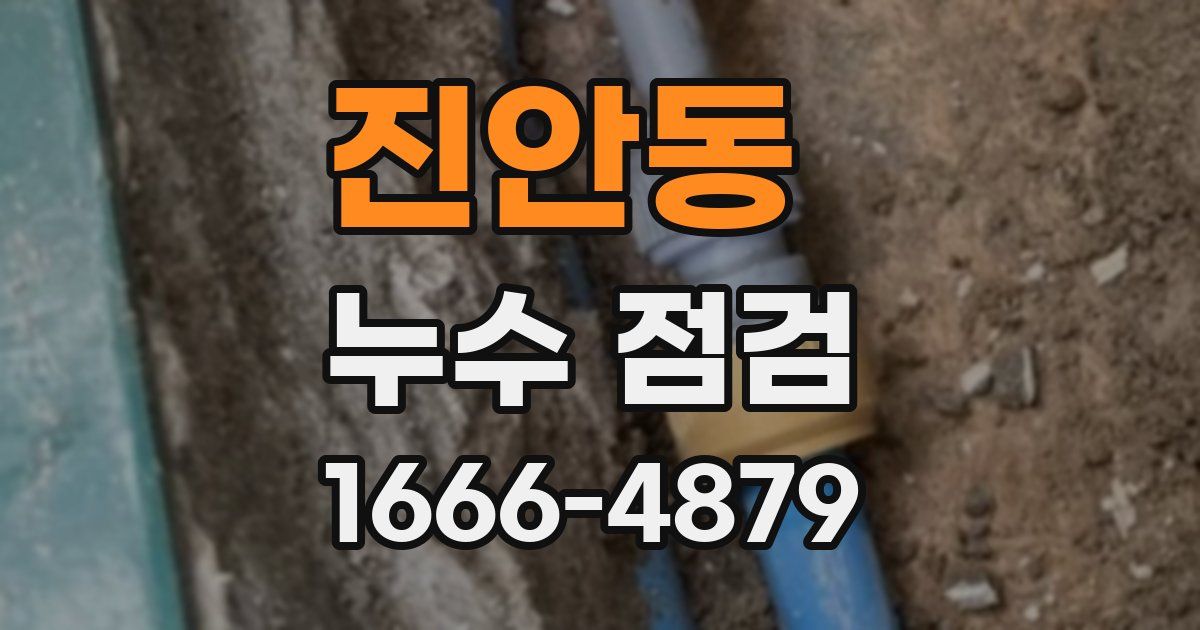 진안동 누수 점검