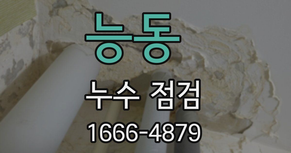 능동 누수 점검