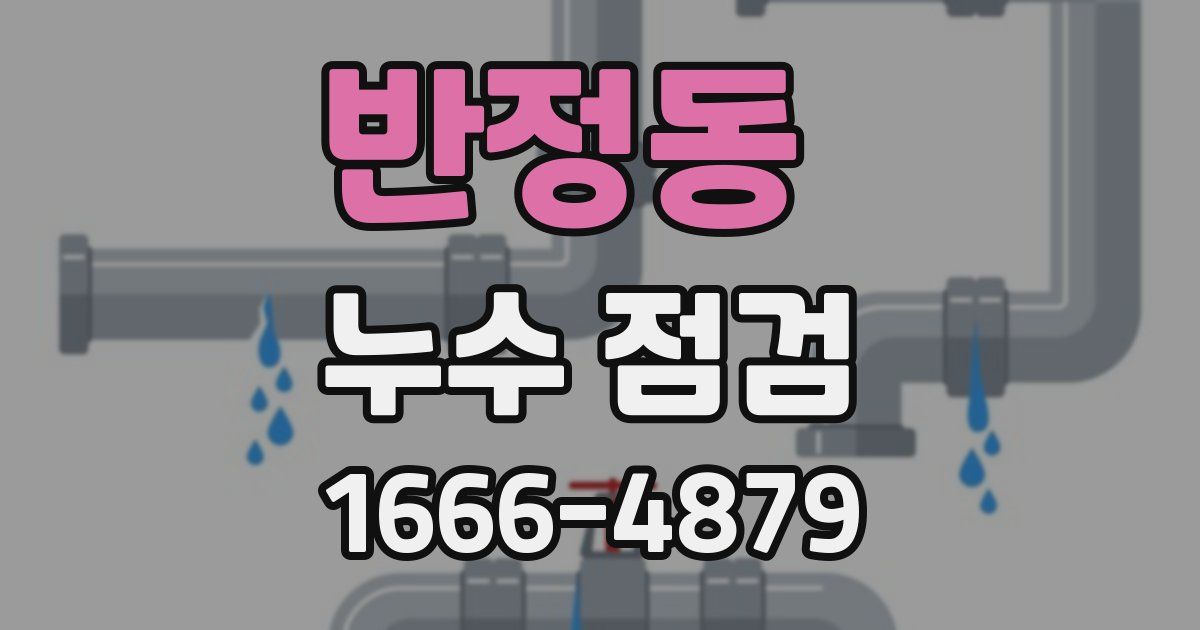 반정동 누수 점검